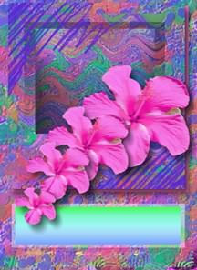 ALOHA