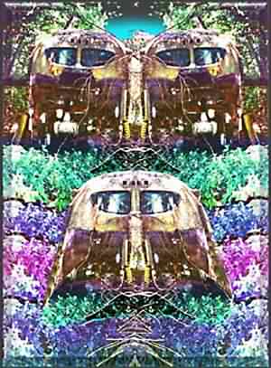 MAGIC BUS