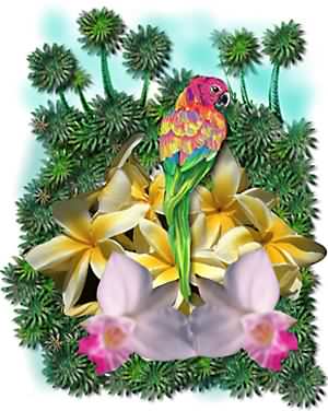 JUNGLE JAM