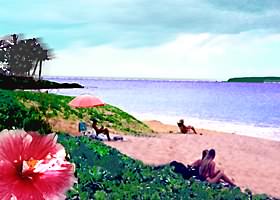 KAMAOLE BEACH PARK #1
