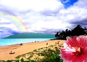 KAMAOLE BEACH PARK #2