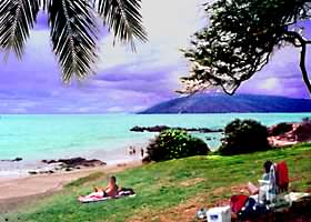 KAMAOLE BEACH PARK #3