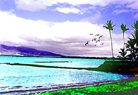 KOA LAGOON