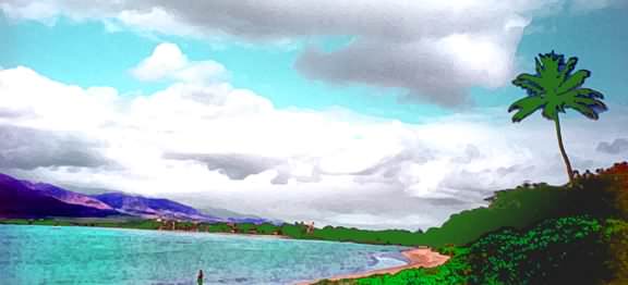 MAI POINA 'OE IA'U BEACH PARK PANORAMA