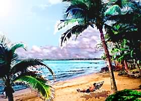 MAUI LU