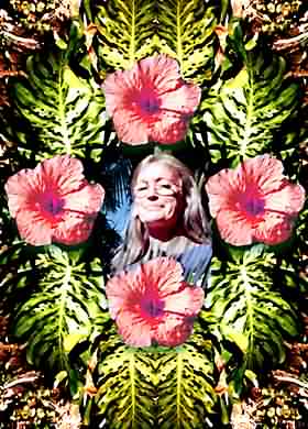 PAMELA HAYES