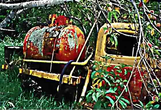 RUST 2
