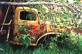 RUST 6